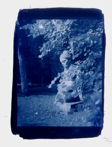 Bild zu: Cyanotypie - Bildvergrößerung